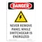 Signmission OSHA Danger Sign, Never Remove Panel, 10in X 7in Decal, 7" W, 10" L, Portrait, Never Remove Panel OS-DS-D-710-V-1679 - alternate 1